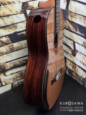 レジス・サラ Regis Sala 2026年製 AUSTRALE (ラティス) 杉・ココボロ 20フレット【クロサワ楽器日本総本店2F 在庫品】_10
