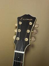 Eastman T-186MX_6