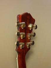Eastman T-186MX_7