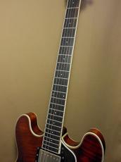 Eastman T-186MX_8