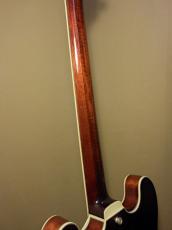 Eastman T-186MX_9
