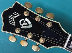 Guild F-50R NT_5