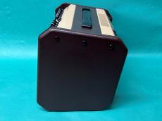 FISHMAN Loudbox Mini_3