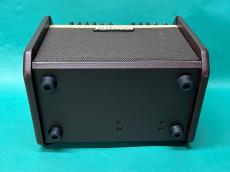 FISHMAN Loudbox Mini_6