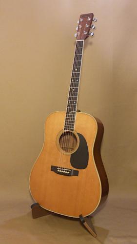 Martin D-35
