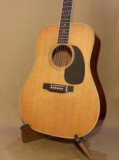 Martin D-35_2