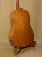 Epiphone FT-30 Caballero_3