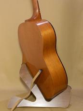 Epiphone FT-30 Caballero_5