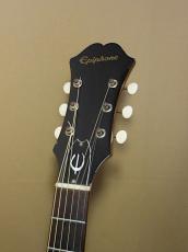 Epiphone FT-30 Caballero_6
