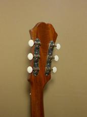 Epiphone FT-30 Caballero_7