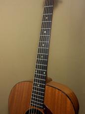 Epiphone FT-30 Caballero_8