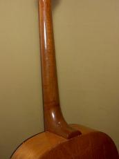 Epiphone FT-30 Caballero_9