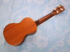 Famous FS-1_3