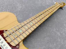 Indie Guitar Unknown Model_5