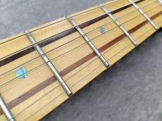 Indie Guitar Unknown Model_6