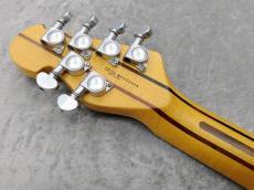 Indie Guitar Unknown Model_9