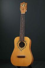 Iiwi Concert Ukulele