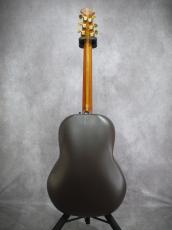 Ovation Patoriot _10