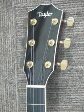 Taylor T5C1 Sunburst 2012年製_5