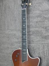 Taylor T5C1 Sunburst 2012年製_7