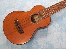 Waipio SMD-2【アキオオリジナル】_2