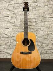 Martin 2005 D-28_11