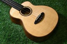 aNueNue UC100 Concert