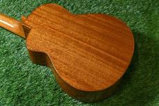 aNueNue UC100 Concert_4