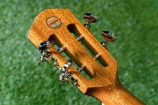 aNueNue UC100 Concert_6