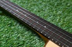 aNueNue UC100 Concert_7