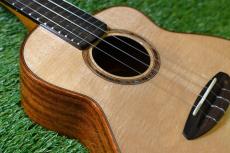 aNueNue UC100 Concert_11