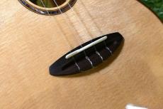 aNueNue UC100 Concert_12