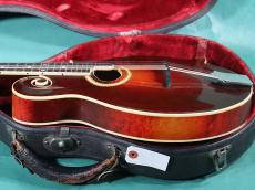 Gibson F-4_4