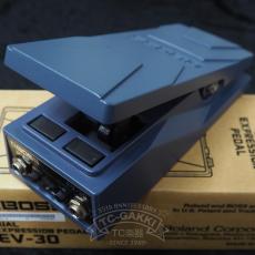 BOSS EV-30 DUAL EXPRESSION PEDAL