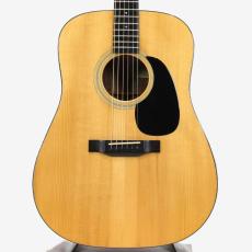 Eastman E10D *2013