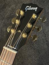Gibson 【新品特価!】J-45 Standard Rosewood ~Rosewood burst~ #20744186【試奏動画あり】 _4