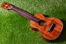 Seilen SLC-160 Concert_2