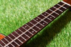 Seilen SLC-160 Concert_7