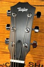 Taylor 【限定カラー】214ce RW Special Edition Honeyburst 【国内入荷30本のみ】【48回無金利】_5