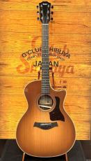 Taylor 【限定カラー】414ce Studio Special Edition Honeyburst 【国内入荷10本のみ】【48回無金利】_2
