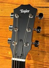 Taylor 【限定カラー】414ce Studio Special Edition Honeyburst 【国内入荷10本のみ】【48回無金利】_5