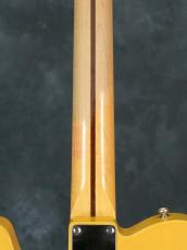 Nash Guitars T-52 Ash Butterscotch Blonde Extra Light Aged_13