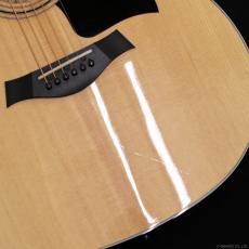 Taylor 314ce V-Class_6