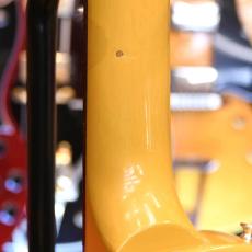 Gibson Les Paul Special TVY_5