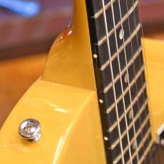 Gibson Les Paul Special TVY_6