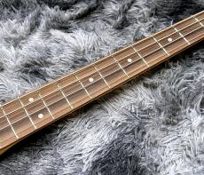 Fender Limited Edition Mark Hoppus Jaguar Bass 3-Color Sunburst / Rosewood【特価】【限定モデル】_5