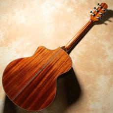 NATASHA JC-1 w/ L.R.Baggs HiFi_4