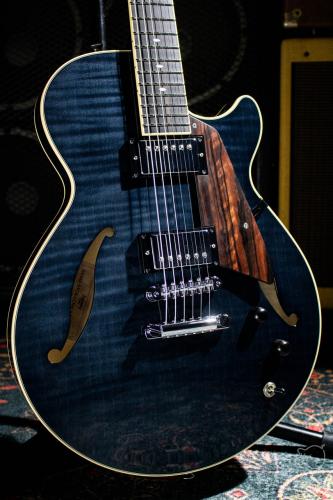 Sadowsky Semi Hollow Model TBK (Transparent Black) / 2024