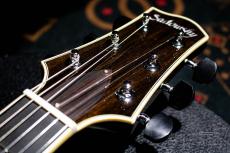 Sadowsky Semi Hollow Model TBK (Transparent Black) / 2024_4