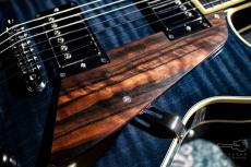 Sadowsky Semi Hollow Model TBK (Transparent Black) / 2024_5